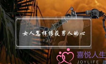 女人怎样俘获男人的心(男人如何抓住女人的心)-泡学网-喜悦人生,挽回婚姻,分手挽回,经验婚姻,情感挽回,情感咨询,分离小三,泡学书籍