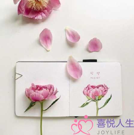 但愿一年以后说说（新的一年活出自己的句子）-泡学网-喜悦人生,挽回婚姻,分手挽回,经验婚姻,情感挽回,情感咨询,分离小三,泡学书籍