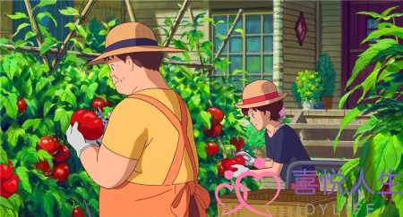 面对丈夫婚外情的婚姻(“面对丈夫婚外的感情)-泡学网-喜悦人生,挽回婚姻,分手挽回,经验婚姻,情感挽回,情感咨询,分离小三,泡学书籍