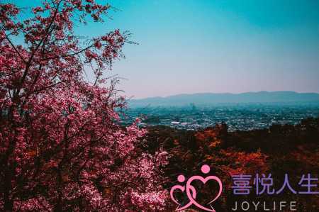 初次约会聊怎么不冷场 第一次约会时聊什么话题-泡学网-喜悦人生,挽回婚姻,分手挽回,经验婚姻,情感挽回,情感咨询,分离小三,泡学书籍