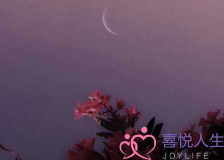 非主流语言（一听就觉得很非主流的文案）-泡学网-喜悦人生,挽回婚姻,分手挽回,经验婚姻,情感挽回,情感咨询,分离小三,泡学书籍