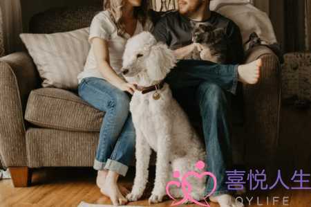 分手后再次见面要怎么挽回(分手后见面怎么复合)-泡学网-喜悦人生,挽回婚姻,分手挽回,经验婚姻,情感挽回,情感咨询,分离小三,泡学书籍