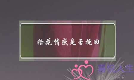 拾花情感是否挽回(拾花情感挽回靠谱吗)-泡学网-喜悦人生,挽回婚姻,分手挽回,经验婚姻,情感挽回,情感咨询,分离小三,泡学书籍