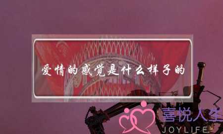 爱情的感觉是什么样子的？-泡学网-喜悦人生,挽回婚姻,分手挽回,经验婚姻,情感挽回,情感咨询,分离小三,泡学书籍