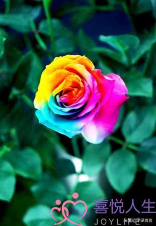 人总是会变的经典句子（每天读一遍人生会改变的句子）-泡学网-喜悦人生,挽回婚姻,分手挽回,经验婚姻,情感挽回,情感咨询,分离小三,泡学书籍