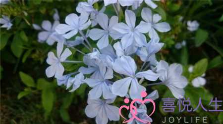 努力奋斗的说说（让自己努力奋斗的说说）-泡学网-喜悦人生,挽回婚姻,分手挽回,经验婚姻,情感挽回,情感咨询,分离小三,泡学书籍