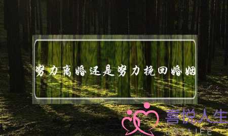 努力离婚还是努力挽回婚姻-泡学网-喜悦人生,挽回婚姻,分手挽回,经验婚姻,情感挽回,情感咨询,分离小三,泡学书籍