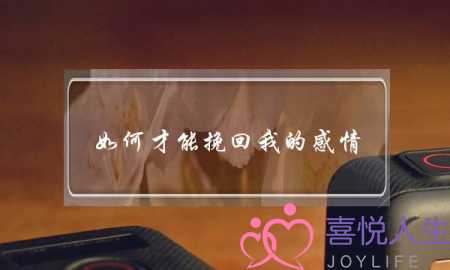 如何才能挽回我的感情(怎样挽回我的情感)-泡学网-喜悦人生,挽回婚姻,分手挽回,经验婚姻,情感挽回,情感咨询,分离小三,泡学书籍