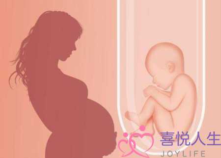 45岁的受孕概率是多少(女性最佳受孕时间是什么时候)-泡学网-喜悦人生,挽回婚姻,分手挽回,经验婚姻,情感挽回,情感咨询,分离小三,泡学书籍