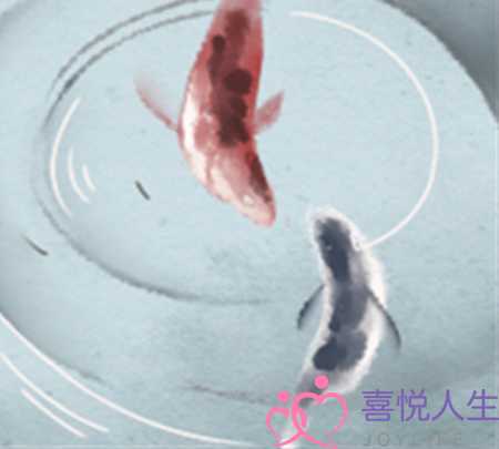 12星座女的驭夫之道(驭夫高手星座女)-泡学网-喜悦人生,挽回婚姻,分手挽回,经验婚姻,情感挽回,情感咨询,分离小三,泡学书籍