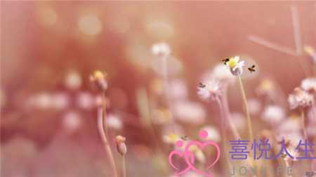 励志文字（励志心语阳光的句子）-泡学网-喜悦人生,挽回婚姻,分手挽回,经验婚姻,情感挽回,情感咨询,分离小三,泡学书籍