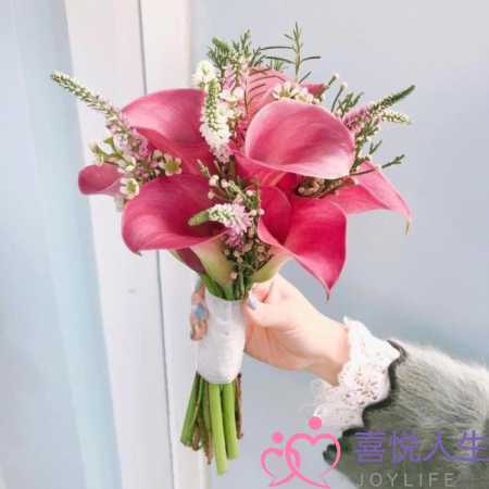 赞美母亲的句子（母亲节赞扬母爱祝福词）-泡学网-喜悦人生,挽回婚姻,分手挽回,经验婚姻,情感挽回,情感咨询,分离小三,泡学书籍