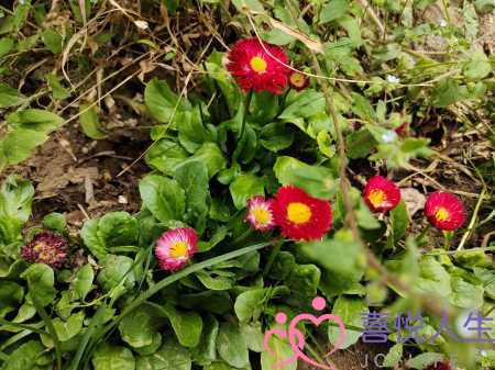 婚姻和婚外情(婚外情和婚姻有什么区别)-泡学网-喜悦人生,挽回婚姻,分手挽回,经验婚姻,情感挽回,情感咨询,分离小三,泡学书籍