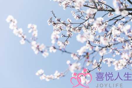 余生情感挽回(重阳前后心有悸动)-泡学网-喜悦人生,挽回婚姻,分手挽回,经验婚姻,情感挽回,情感咨询,分离小三,泡学书籍