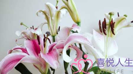 老公喜欢和女网友聊天怎么办（老公跟别的女人网络聊天）-泡学网-喜悦人生,挽回婚姻,分手挽回,经验婚姻,情感挽回,情感咨询,分离小三,泡学书籍