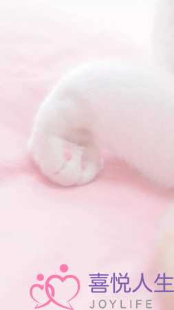 人老心态年轻的句子（让心态保持年轻的句子）-泡学网-喜悦人生,挽回婚姻,分手挽回,经验婚姻,情感挽回,情感咨询,分离小三,泡学书籍