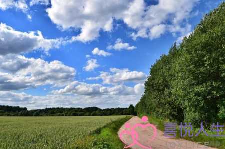 早安暖心话送给女朋友治愈系，暖心治愈的21句早安心语-泡学网-喜悦人生,挽回婚姻,分手挽回,经验婚姻,情感挽回,情感咨询,分离小三,泡学书籍