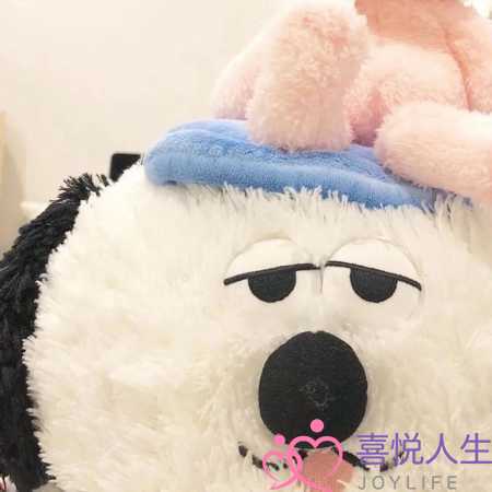 女孩问喜欢什么样的女孩(女生通常都有哪些隐藏的暗示)-泡学网-喜悦人生,挽回婚姻,分手挽回,经验婚姻,情感挽回,情感咨询,分离小三,泡学书籍