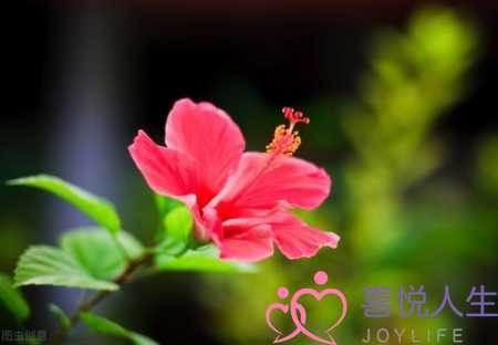 婚后遇到彼此心动的人，已婚遇见心动的人-泡学网-喜悦人生,挽回婚姻,分手挽回,经验婚姻,情感挽回,情感咨询,分离小三,泡学书籍