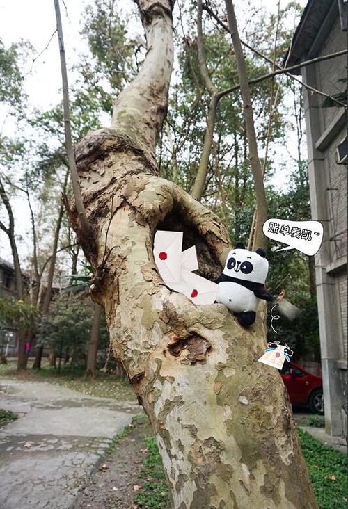 图片[1]-女生叫你树洞什么意思?树洞和备胎有何不同-泡学网-喜悦人生,信息技术交流,展示面,白恋鹤咨询,企业心得分享