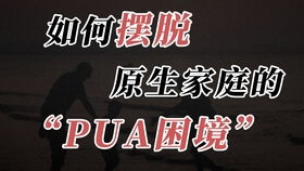 图片[1]-pua这个梗是什么意思-泡学网-喜悦人生,信息技术交流,展示面,白恋鹤咨询,企业心得分享
