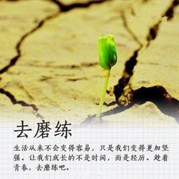 图片[4]-女生看了会起反应的句子-泡学网-喜悦人生,信息技术交流,展示面,白恋鹤咨询,企业心得分享
