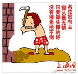 图片[4]-挖墙脚怎么挖,：如何成功挖墙脚！-泡学网-喜悦人生,信息技术交流,展示面,白恋鹤咨询,企业心得分享