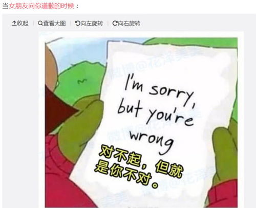 图片[1]-怎么向女朋友道歉认错-泡学网-喜悦人生,信息技术交流,展示面,白恋鹤咨询,企业心得分享