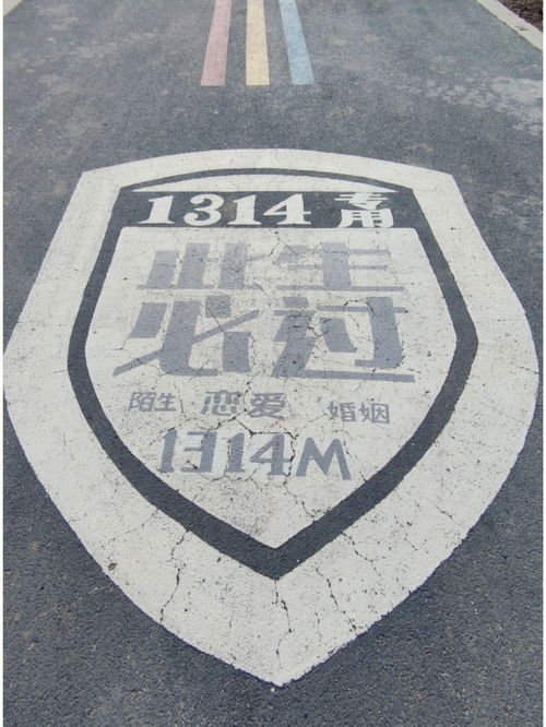 图片[1]-比1314还要浪漫的数字-泡学网-喜悦人生,信息技术交流,展示面,白恋鹤咨询,企业心得分享