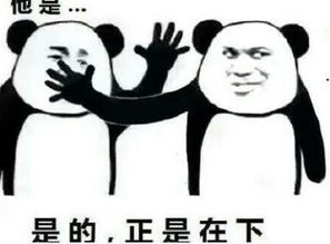 图片[1]-一段感动到哭的表白，你却感动到哭-泡学网-喜悦人生,信息技术交流,展示面,白恋鹤咨询,企业心得分享