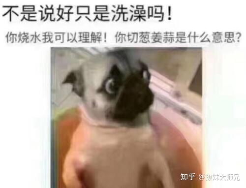 图片[4]-如何安慰女生心情不好-泡学网-喜悦人生,信息技术交流,展示面,白恋鹤咨询,企业心得分享