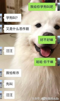 实用搭讪套路大揭秘!-泡学网-喜悦人生,信息技术交流,展示面,白恋鹤咨询,企业心得分享