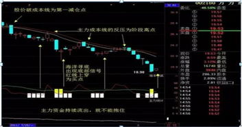 低位必被甩,如何转换低位成高位-泡学网-喜悦人生,信息技术交流,展示面,白恋鹤咨询,企业心得分享